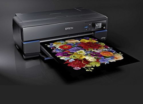 Epson SC-P800 A2-2